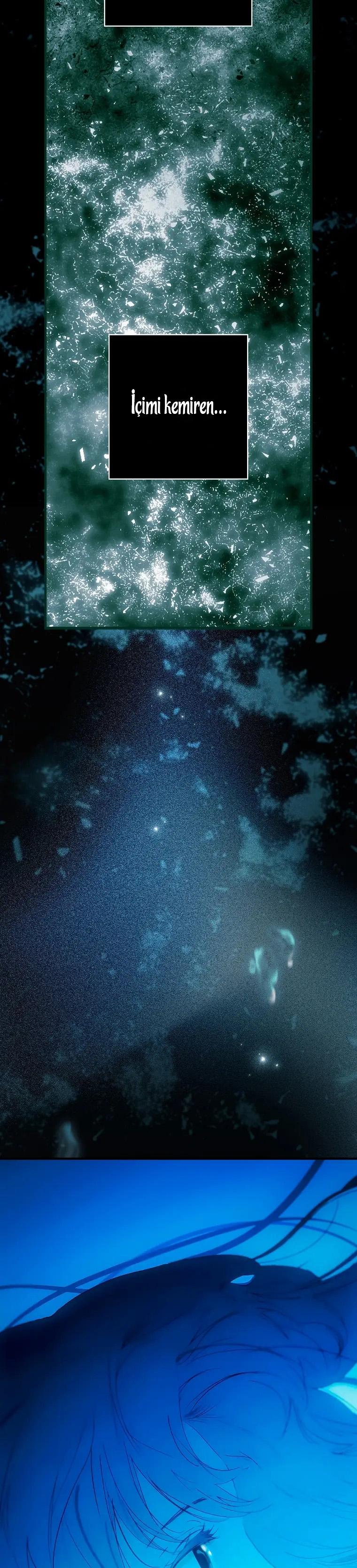 23-cmc1vvo430025phxcd4xhnki2