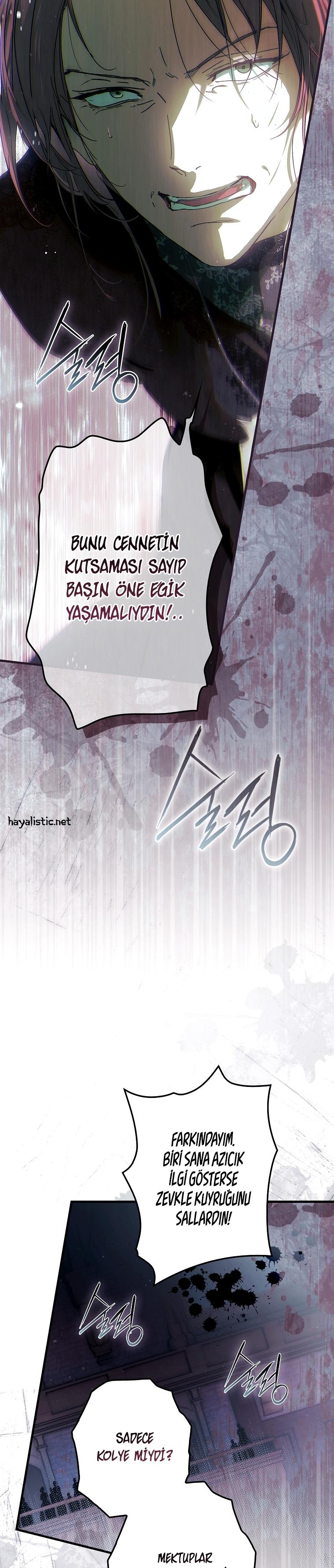 33-cmc1vvo430025phxcd4xhnki2