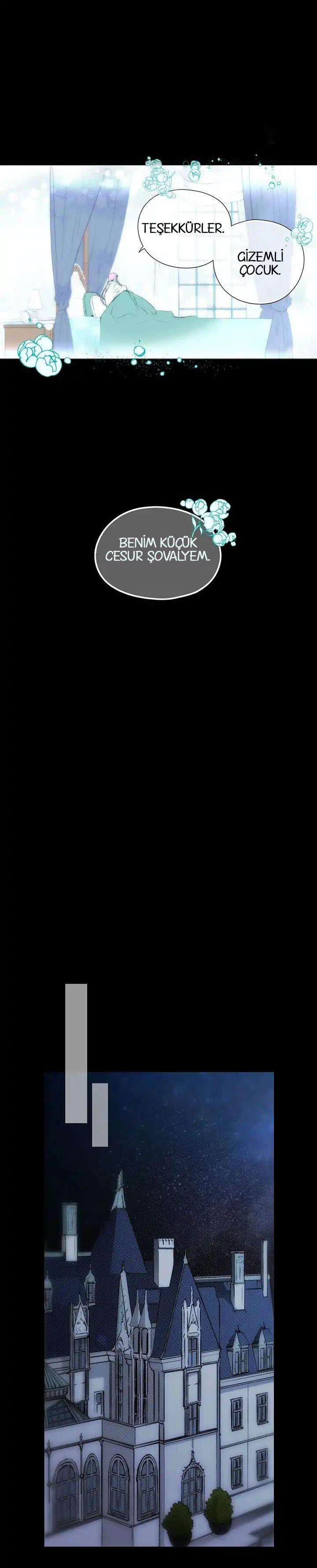 16-cmc1vvo430025phxcd4xhnki2