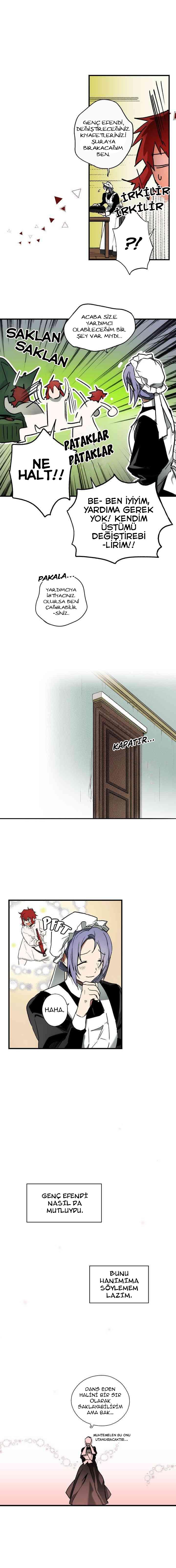 5-cmc1vvo430025phxcd4xhnki2