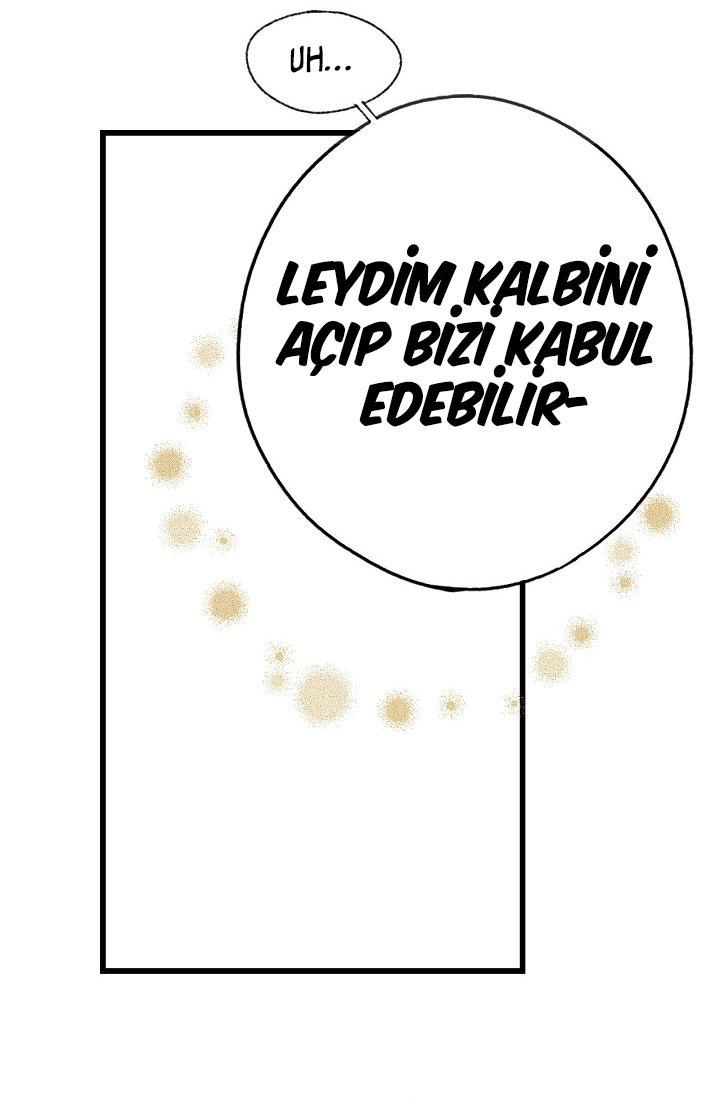 53-cmc1vvo430025phxcd4xhnki2