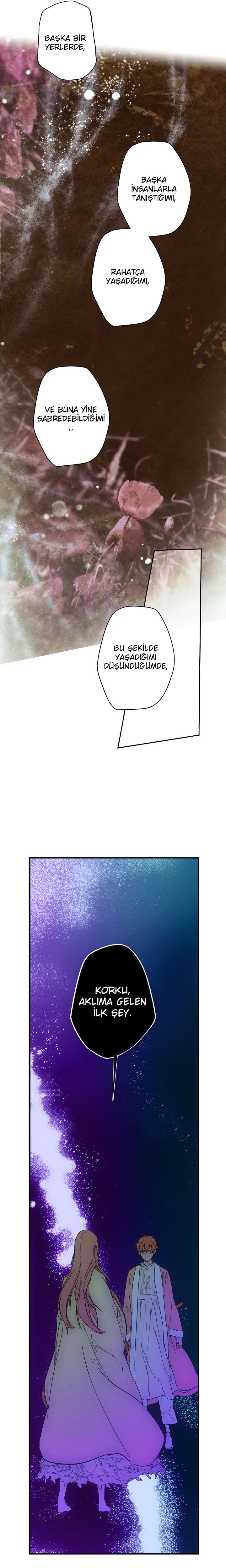 5-cmc1vvo430025phxcd4xhnki2