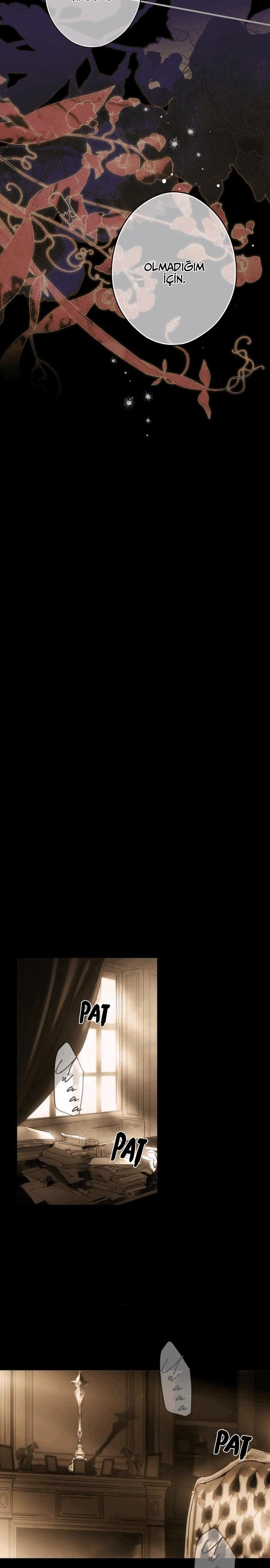 11-cmc1vvo430025phxcd4xhnki2