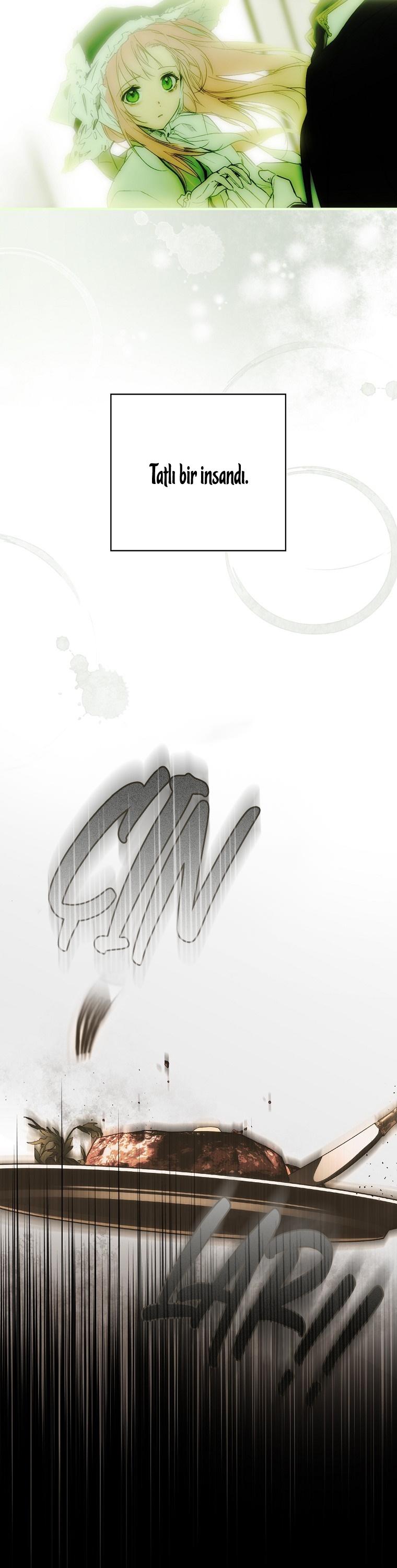 17-cmc1vvo430025phxcd4xhnki2