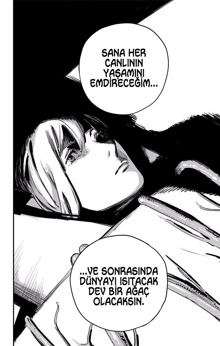 3-cm5ya3xt20000eovjogi0rsko