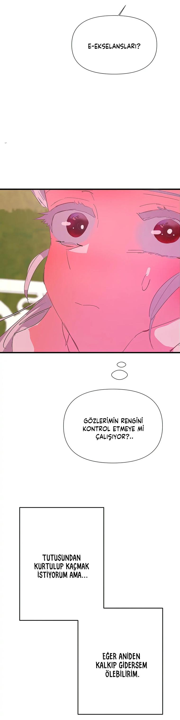 11-cm2xdfr0s0001tt82570od8ls