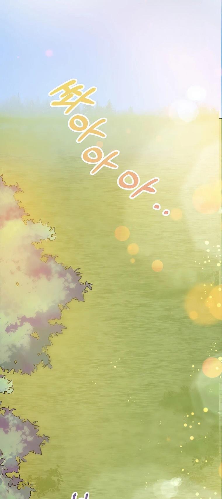 17-cm2xdfr0s0001tt82570od8ls