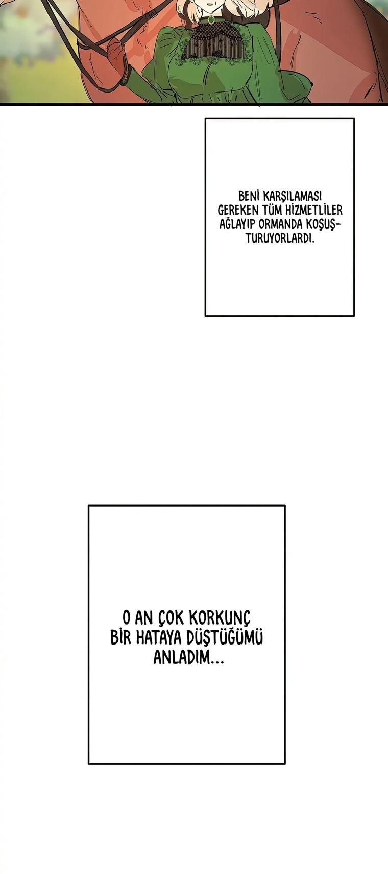 25-cm2xdfr0s0001tt82570od8ls