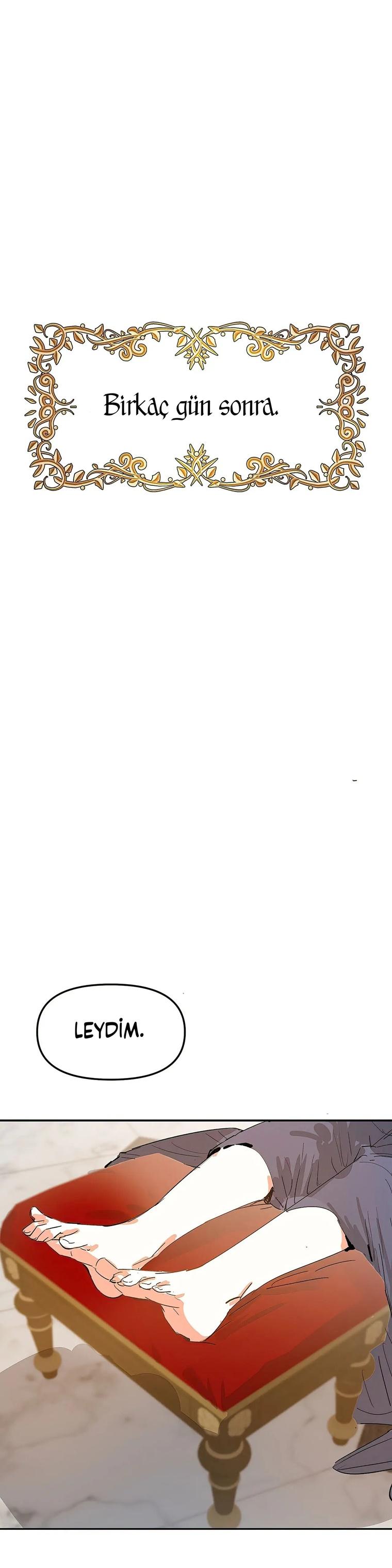 42-cm2xdfr0s0001tt82570od8ls