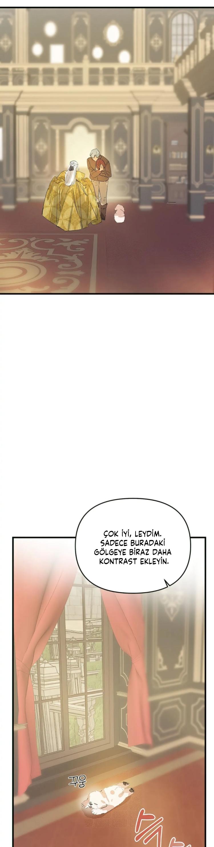 24-cm2xdfr0s0001tt82570od8ls