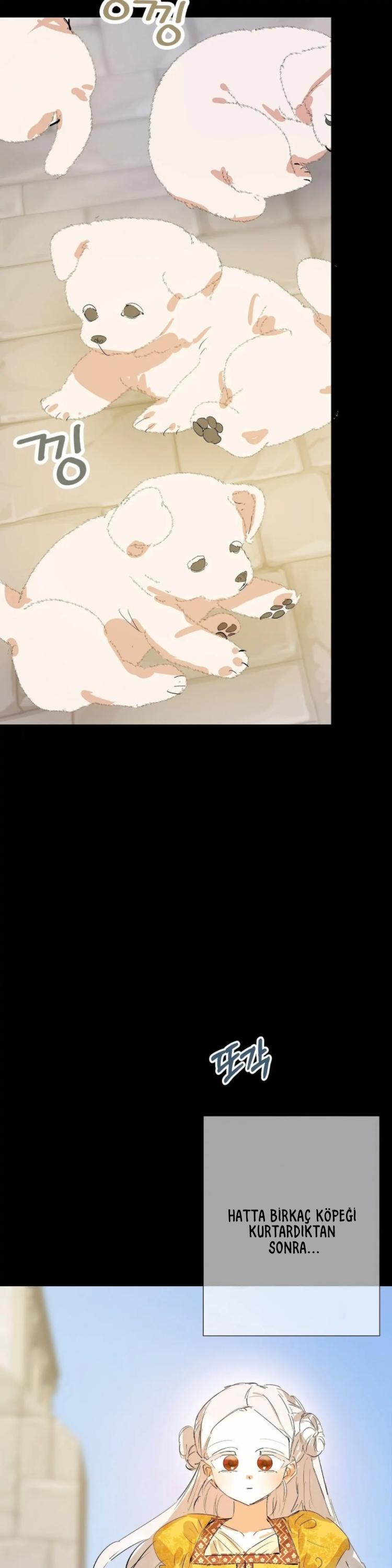 34-cm2xdfr0s0001tt82570od8ls
