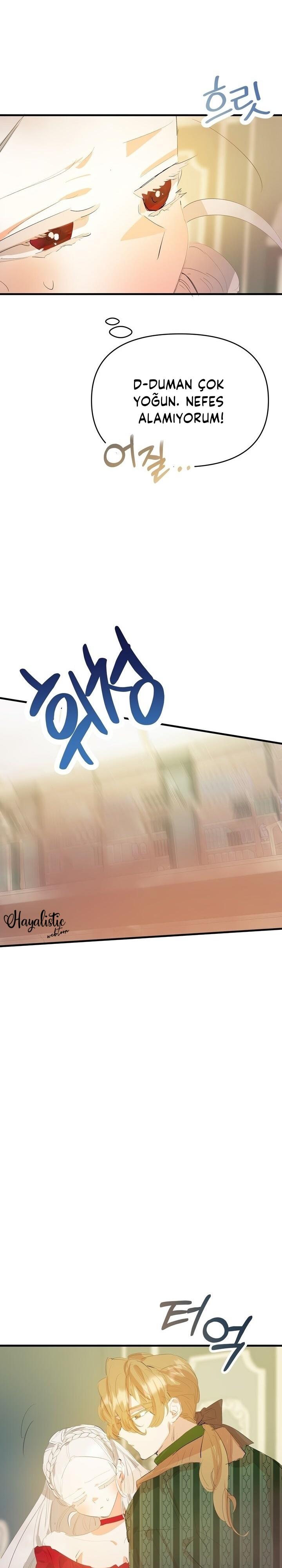 22-cm2xdfr0s0001tt82570od8ls