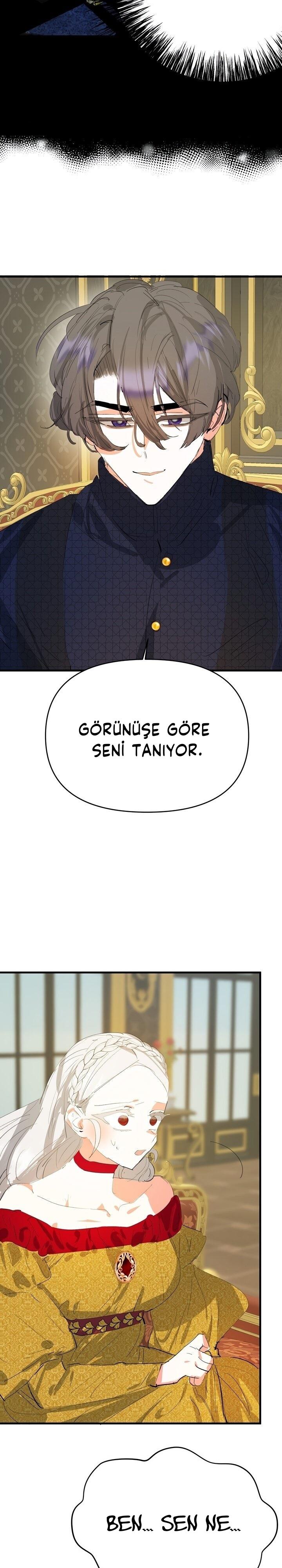 6-cm2xdfr0s0001tt82570od8ls