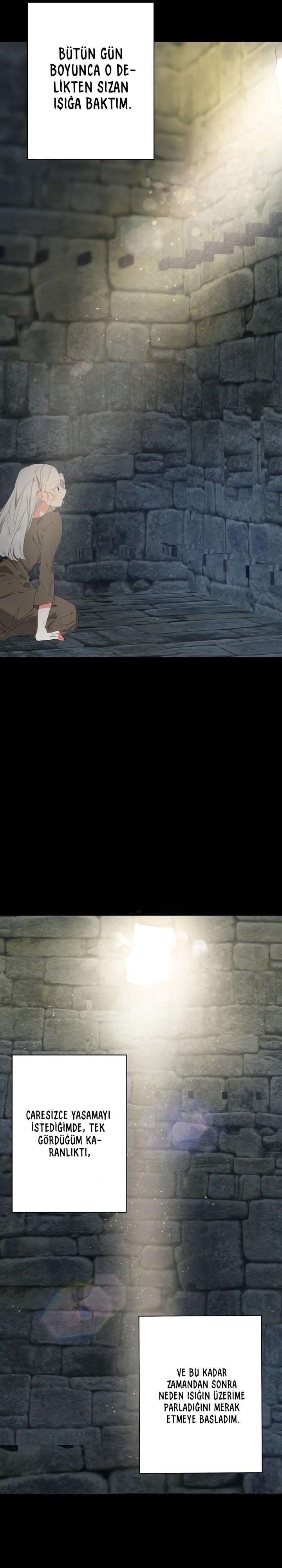 17-cm2xdfr0s0001tt82570od8ls