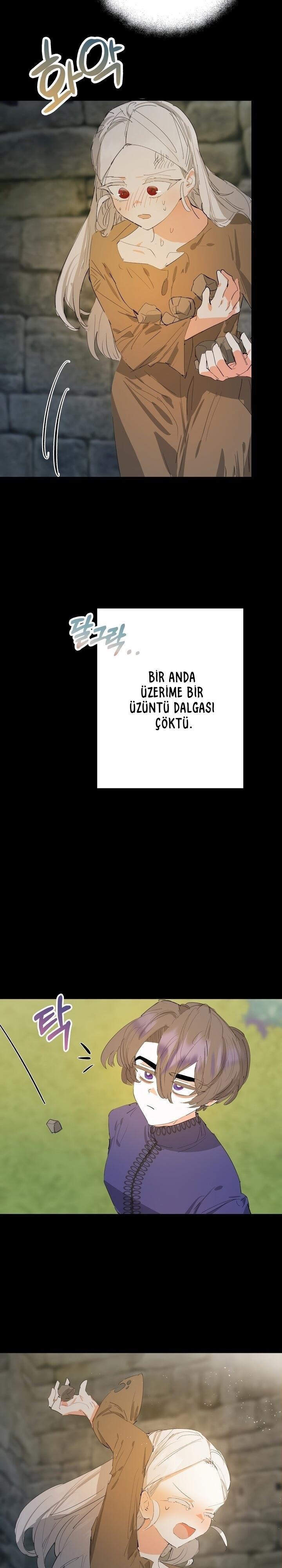 23-cm2xdfr0s0001tt82570od8ls