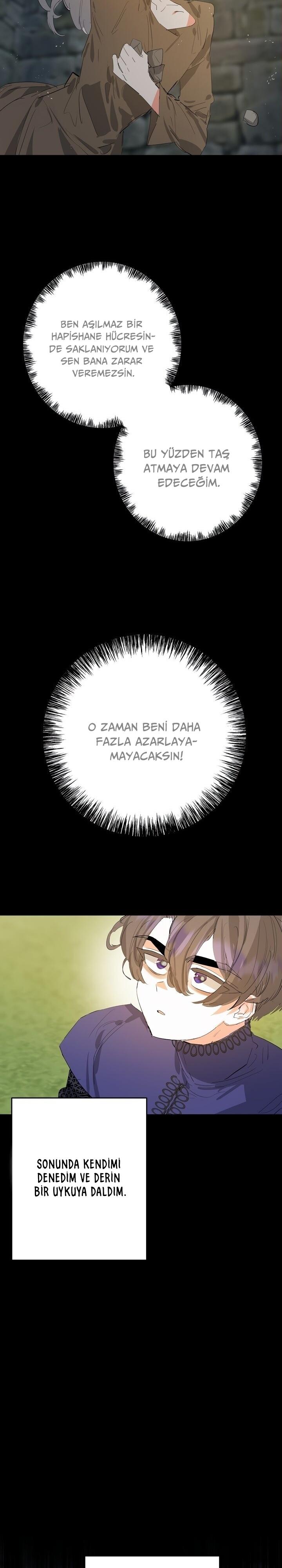 24-cm2xdfr0s0001tt82570od8ls