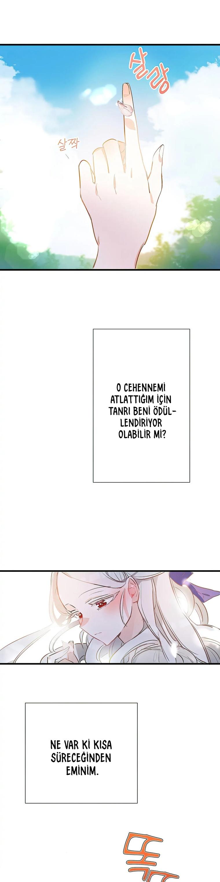 14-cm2xdfr0s0001tt82570od8ls