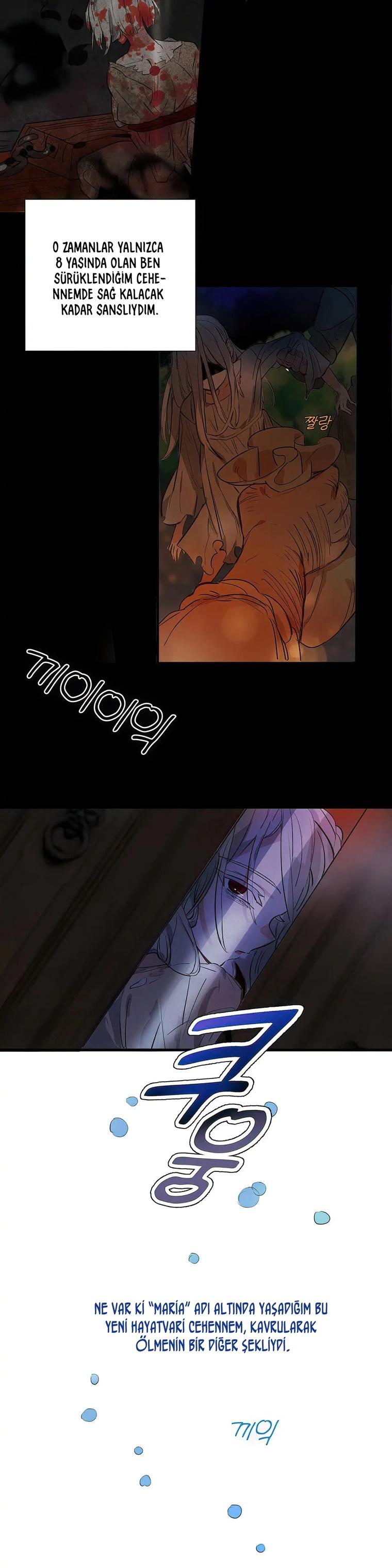 3-cm2xdfr0s0001tt82570od8ls