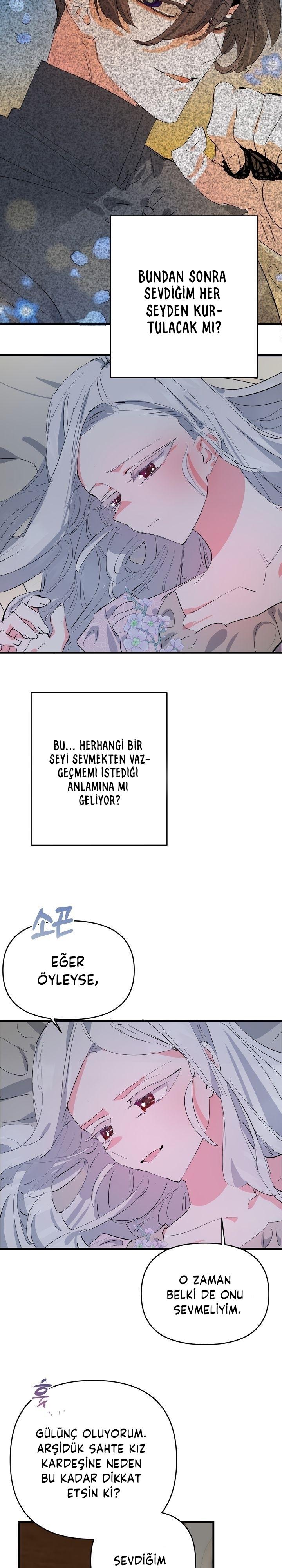 4-cm2xdfr0s0001tt82570od8ls