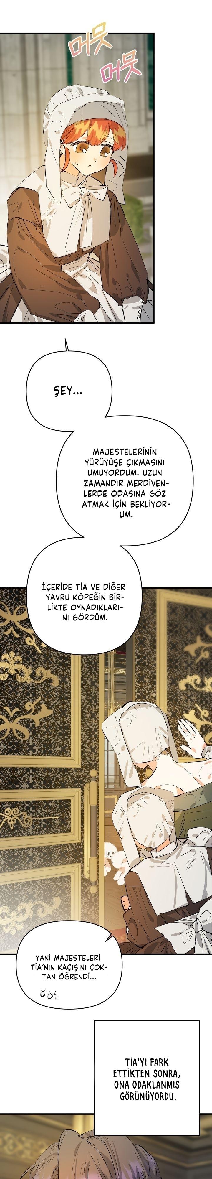 3-cm2xdfr0s0001tt82570od8ls