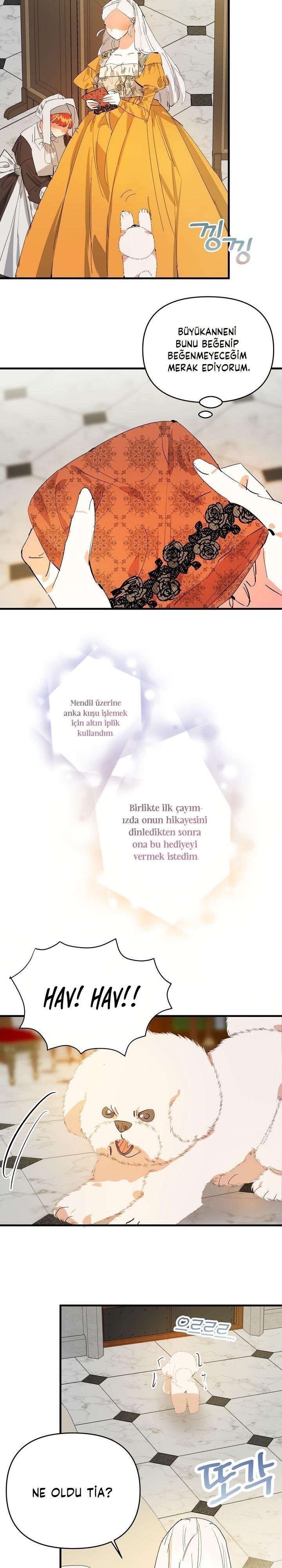 8-cm2xdfr0s0001tt82570od8ls