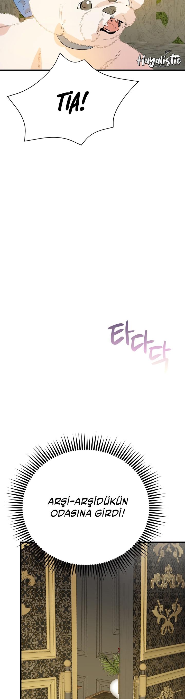 35-cm2xdfr0s0001tt82570od8ls