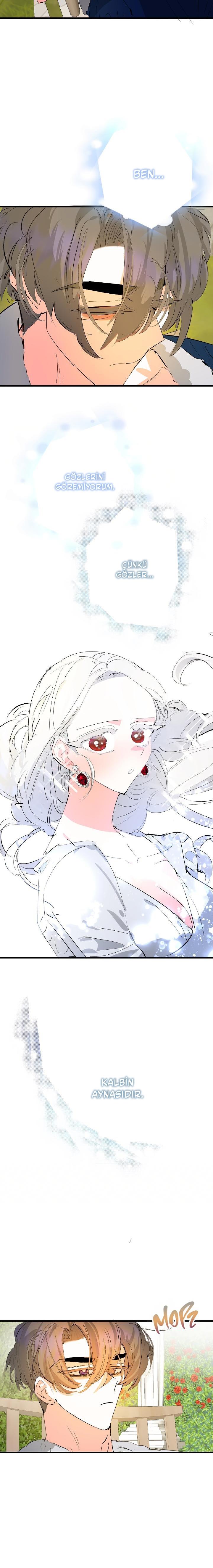11-cm2xdfr0s0001tt82570od8ls