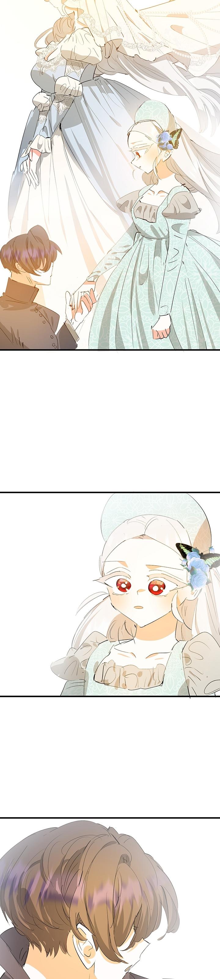 9-cm2xdfr0s0001tt82570od8ls