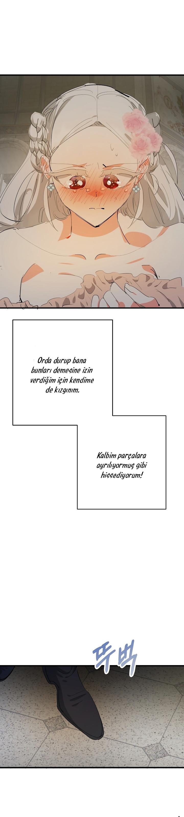 11-cm2xdfr0s0001tt82570od8ls