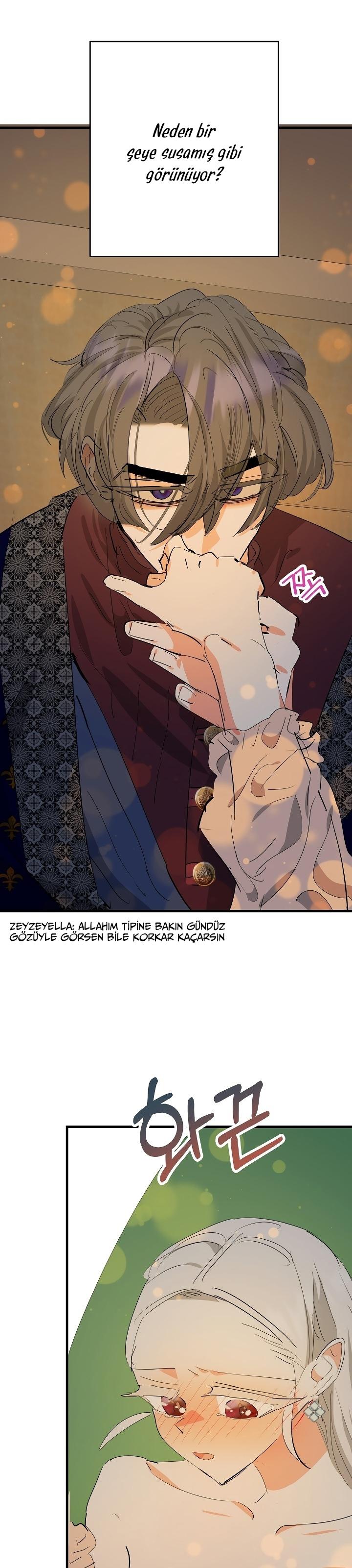 4-cm2xdfr0s0001tt82570od8ls