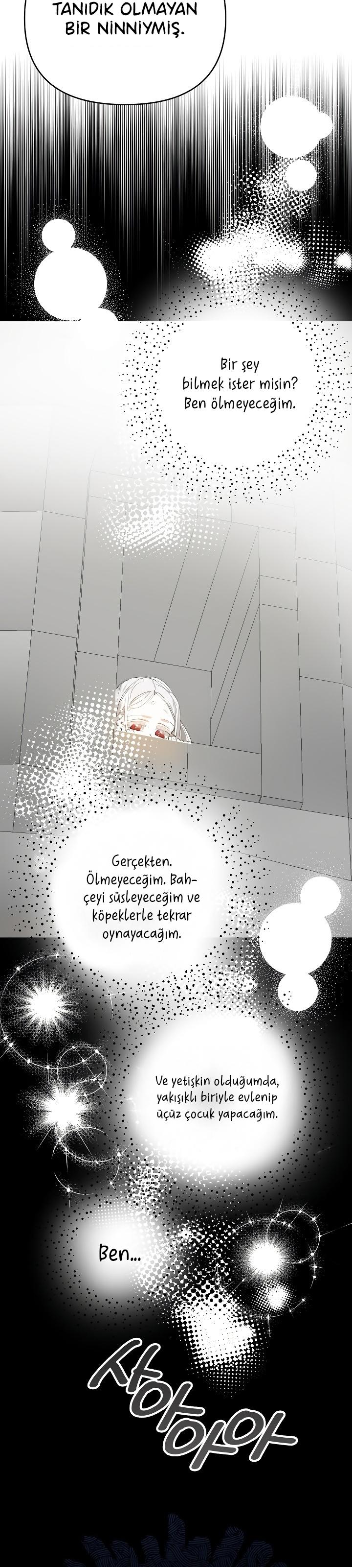 7-cm2xdfr0s0001tt82570od8ls