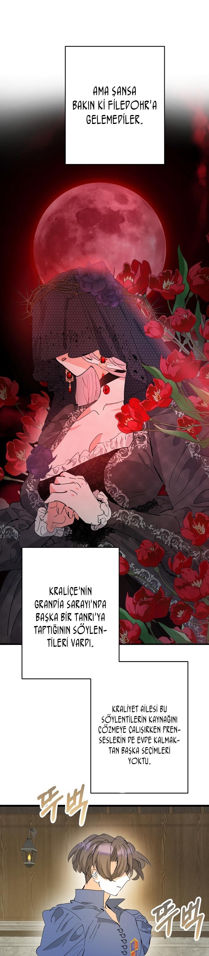 11-cm2xdfr0s0001tt82570od8ls