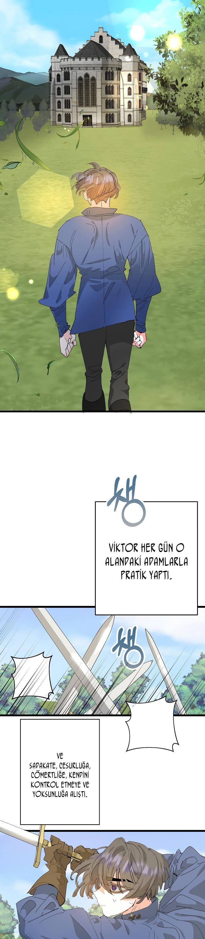 4-cm2xdfr0s0001tt82570od8ls