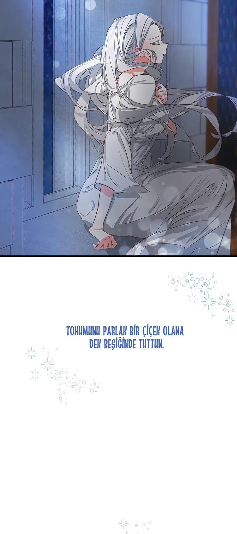 21-cm2xdfr0s0001tt82570od8ls