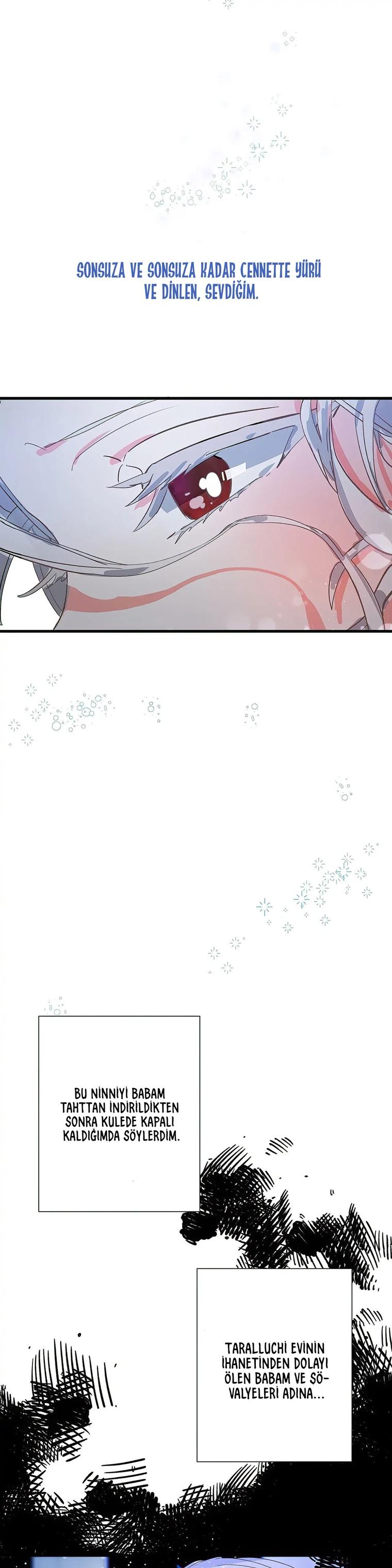 22-cm2xdfr0s0001tt82570od8ls