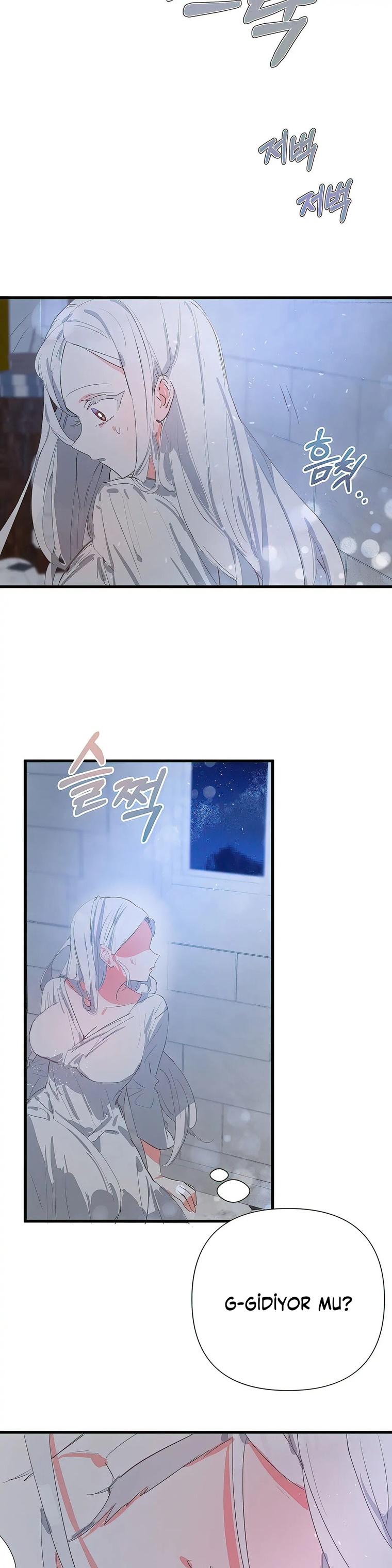 29-cm2xdfr0s0001tt82570od8ls