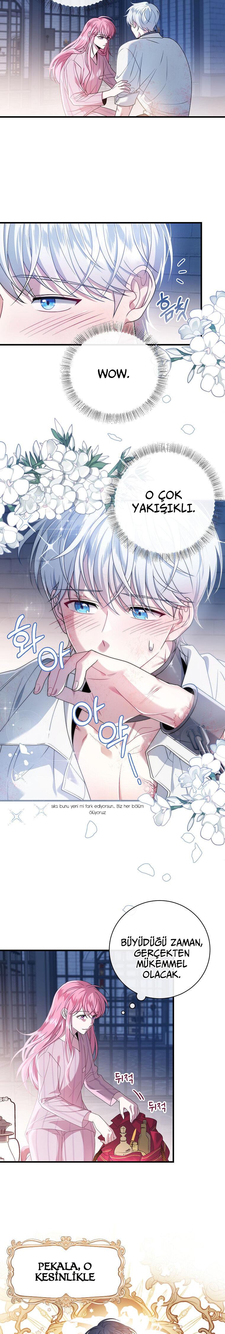 7-cmc1vvo430025phxcd4xhnki2