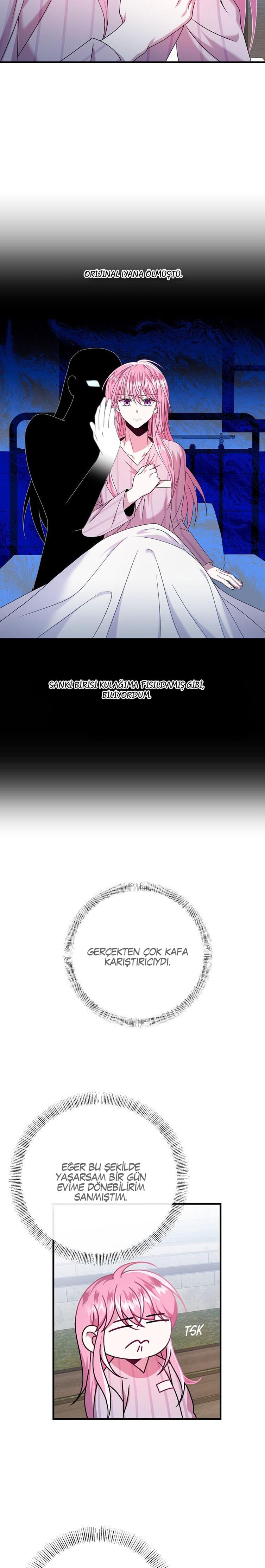 29-cmc1vvo430025phxcd4xhnki2