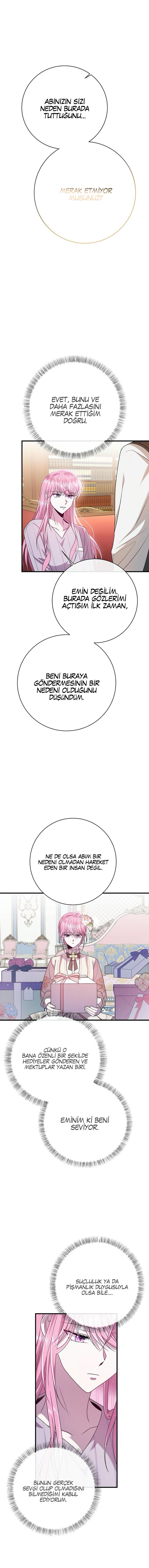5-cmc1vvo430025phxcd4xhnki2