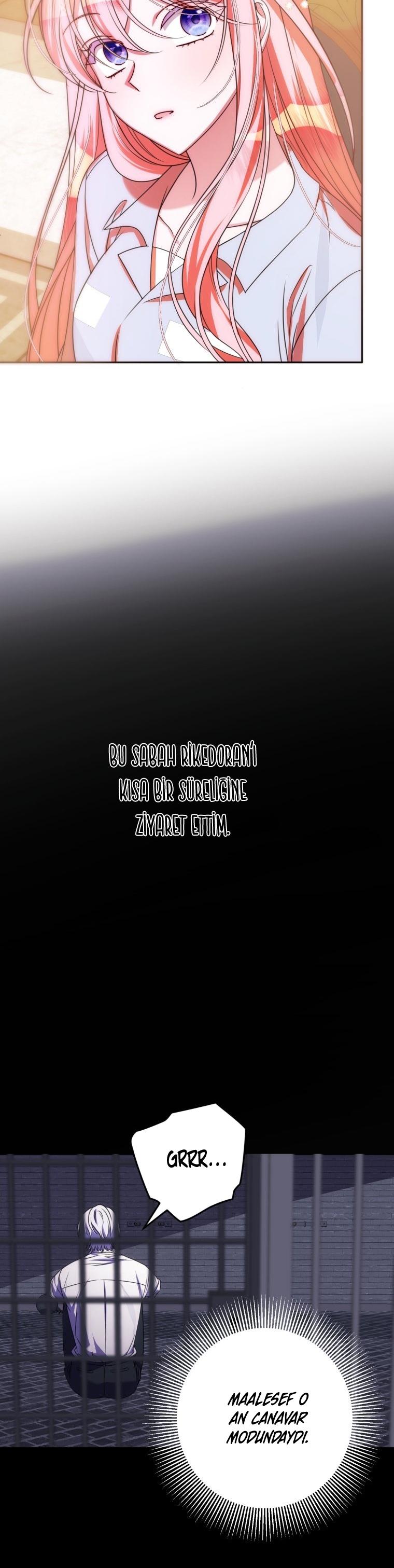 25-cmc1vvo430025phxcd4xhnki2