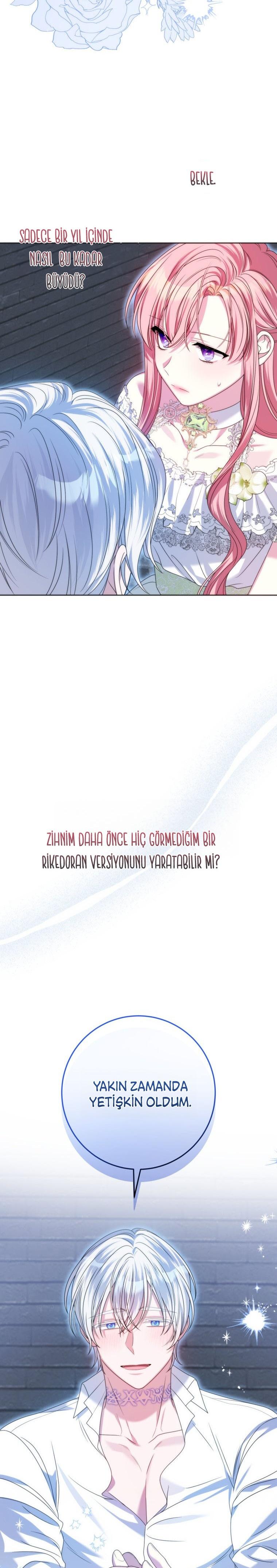 15-cmc1vvo430025phxcd4xhnki2