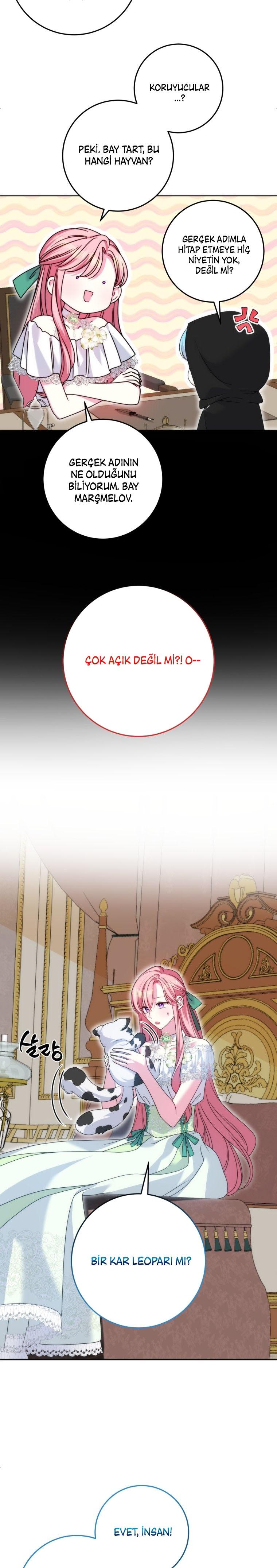 6-cmc1vvo430025phxcd4xhnki2