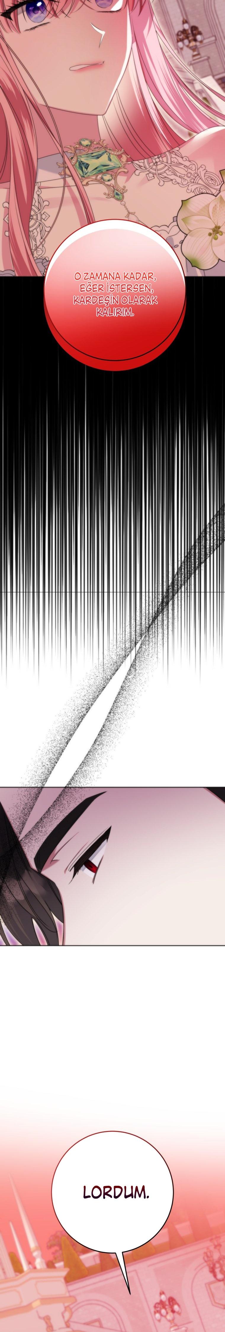 8-cmc1vvo430025phxcd4xhnki2