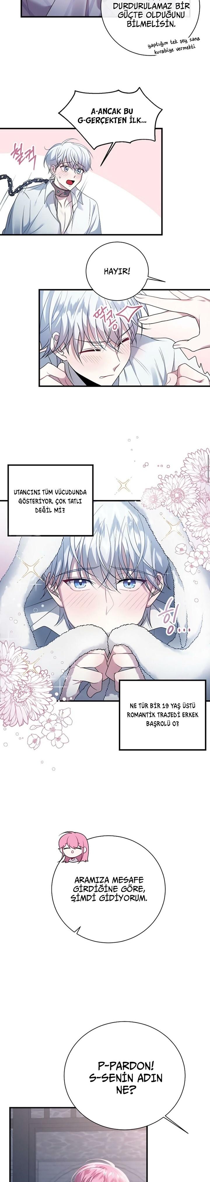 7-cmc1vvo430025phxcd4xhnki2