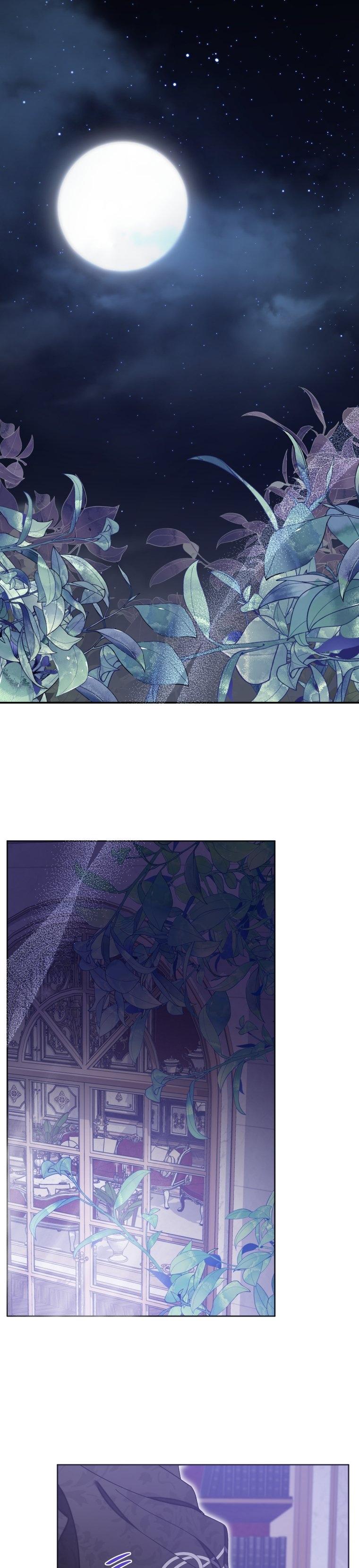 2-cmc1vvo430025phxcd4xhnki2