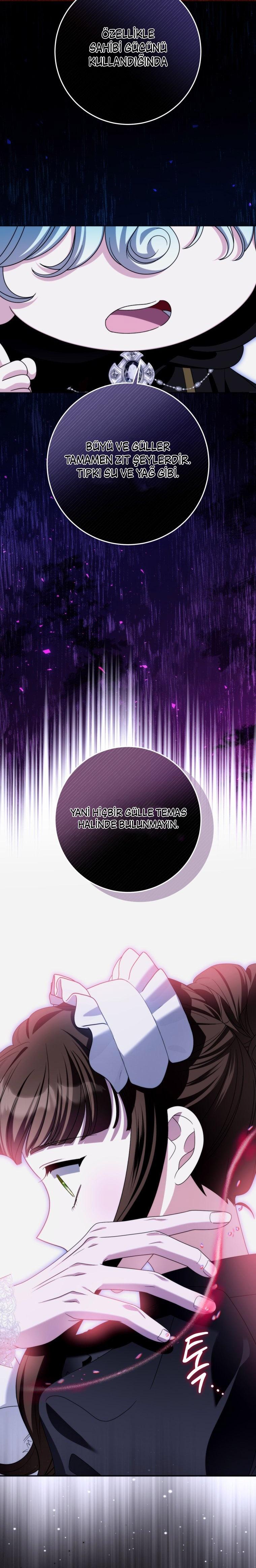 25-cmc1vvo430025phxcd4xhnki2