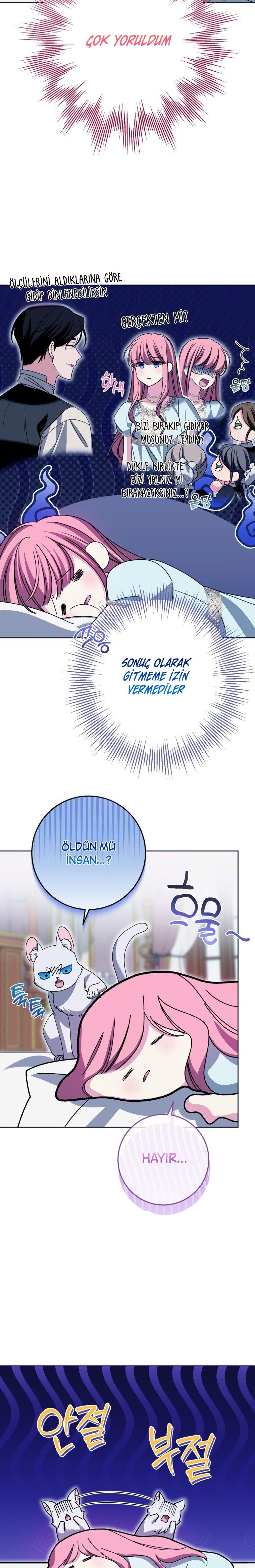 17-cmc1vvo430025phxcd4xhnki2