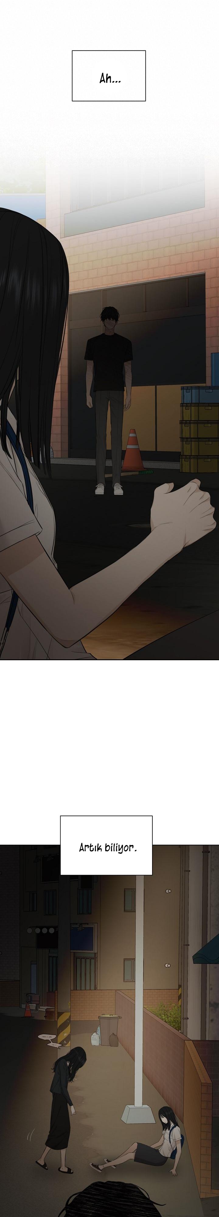 22-cm2xdfr0s0001tt82570od8ls