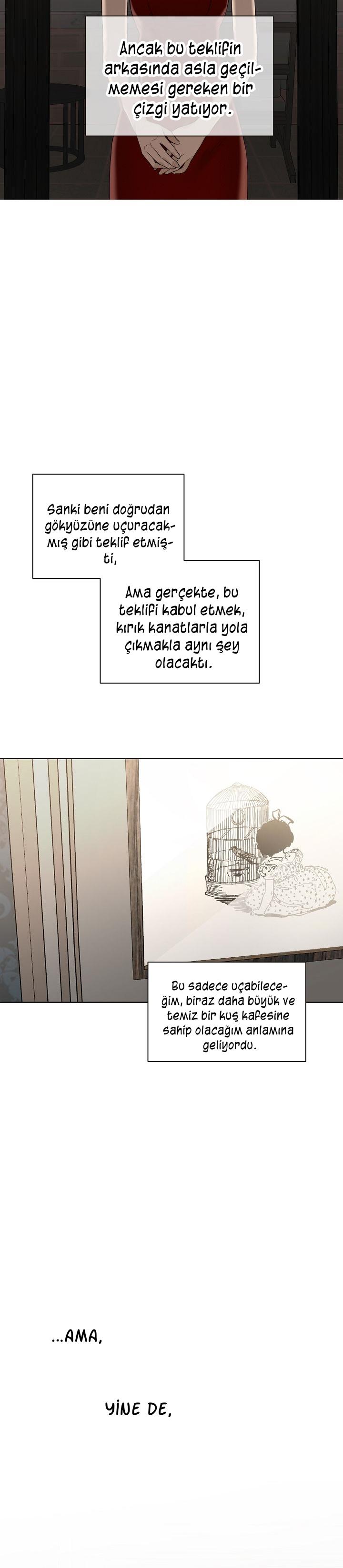 33-cm2xdfr0s0001tt82570od8ls