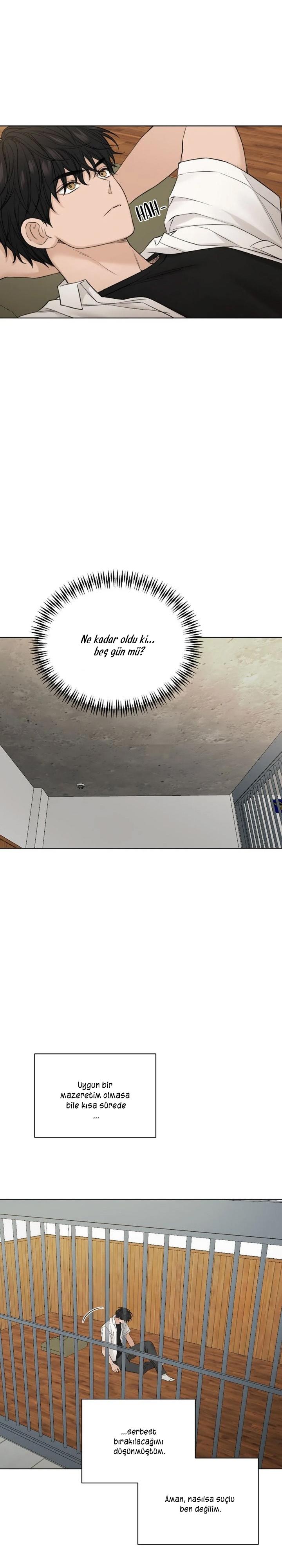 3-cm2xdfr0s0001tt82570od8ls